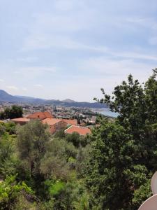 Φυσικό τοπίο κοντά σε αυτό το διαμέρισμα