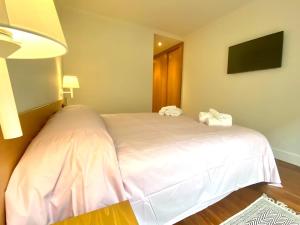 Fotografie z fotogalerie ubytování Luxury stay in the heart of the city v destinaci San Sebastián