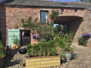 Caldbeck的住宿－Historic converted byre in courtyard of 16C house，一座种植了植物的砖砌建筑前的花园