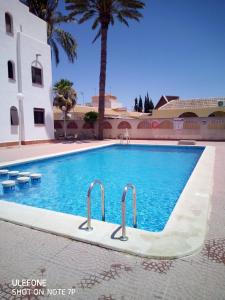 - une piscine dans un complexe avec des palmiers dans l'établissement Marrakesh, à Los Alcázares