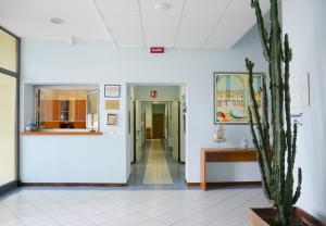 een hal met een cactus in het midden van een kamer bij Casa per ferie Il Pioppo in Marina di Massa