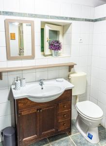 a bathroom with a sink and a toilet at Puckó Family in PerÅ‘csÃ©ny