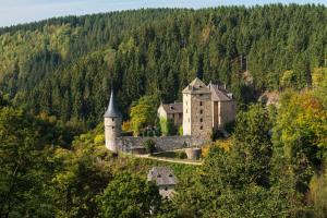 an old castle in the middle of a forest at Le Gagnage 31 pers- Malmedy, rustique, vue, wellness in Malmedy