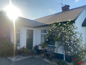 Foto sihtkohas Greencastle asuva majutusasutuse Hawthorn Cottage galeriist