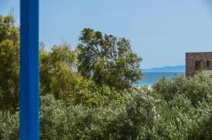 Galeriebild der Unterkunft Golden Beach Glyfada Apartments in Kastraki Naxos