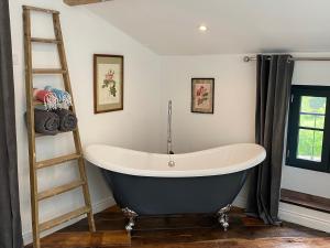 a bath tub in a bathroom with a ladder at Maison Mûrier in Fayssac +69 photos