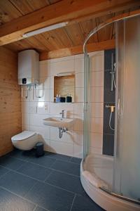 a bathroom with a shower and a sink and a toilet at Centris in Feistritz im Rosental
