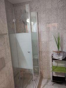 een douche met een glazen deur in de badkamer bij Ferienwohnung Sonnenplatzl in Reit im Winkl