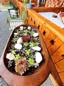 una maceta llena de plantas y rocas en una mesa en Casa Bambus Sovata 2, en Sovata