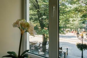 a window with a vase with a flower in it at D31 Hotel in Odesa