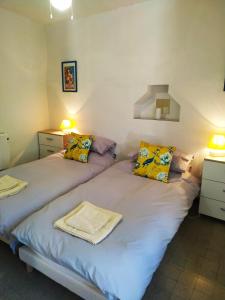 2 Einzelbetten in einem Zimmer mit 2 Lampen in der Unterkunft Vernet Jardin in Vernet-les-Bains