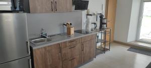 a kitchen with a sink and a refrigerator at Ferienwohnung Dick Schwarzenberg in Schwarzenberg