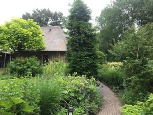 um caminho que leva a uma casa num jardim em B&B. Het Hunebed Rolde em Rolde