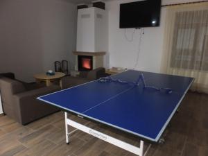Table tennis facilities sa APUSENI HOLIDAYS o sa malapit