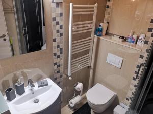 a small bathroom with a sink and a toilet at Chic Boutique Apart in Sinaia +11 photos