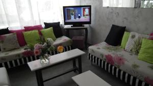 a living room with two couches and a tv at Hôtel des Pays Bas in Lourdes