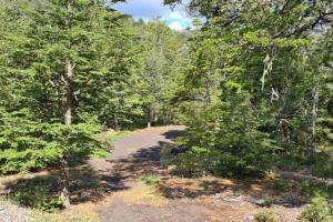 una strada sterrata in mezzo a una foresta di Vista al volcán con tinaja y río en Conguillío a Curacautín