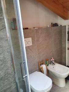 a bathroom with a shower and a toilet and a sink at Mansarda bilocale centro Brusson in Brusson