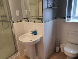 a bathroom with a sink and a shower and a toilet at Vetrelax Basildon Blake Apartment in Basildon +9 photos