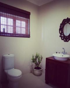 ein Badezimmer mit Toilette, Waschbecken und Spiegel in der Unterkunft Hoogwater Cottage in Wolseley