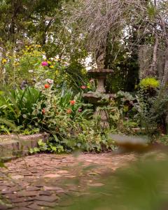 a garden with a bird bath and flowers at Aquaelberg Place in Swellendam