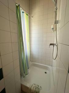 y baño con ducha y bañera con cortina de ducha. en Vural Rooms en Gmünd