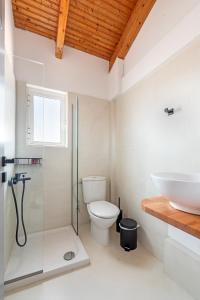 a bathroom with a toilet and a sink at Costa Azzurra Hotel in Skala