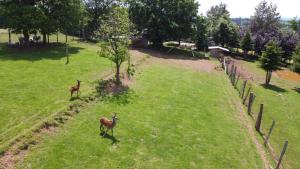 Goście zatrzymujący się w obiekcie Brochepierre 28 pers- vue exceptionnelle - Malmedy