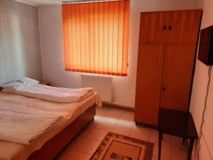 Gallery image of Vila Danlavi Busteni in Buşteni