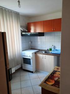 Gallery image of Vila Danlavi Busteni in Buşteni