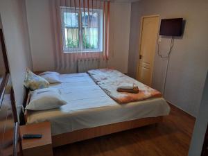 Gallery image of Vila Danlavi Busteni in Buşteni