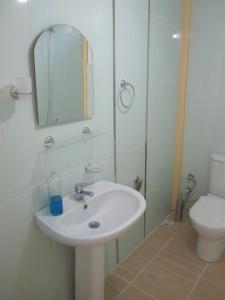 a bathroom with a sink and a mirror and a toilet at Arikanda River Garden Hotel in Adrasan