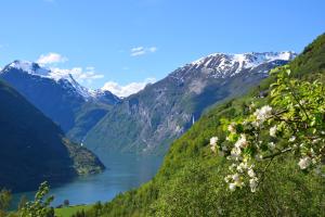 a view of a valley with a lake and mountains at Hole Hytter in Geiranger