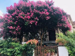 a tree with pink flowers in front of a house at With a View of Meteora in Diáva