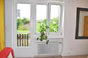 a living room with two windows and a plant at Zurich Airport Apartment Loft 45m2 free Parking, Airport Drive Service, separate Kitchen in Kloten