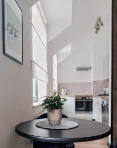 a kitchen with a table with a potted plant on it at Apartament w Centrum in Zamość
