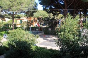 A garden outside Il Gabbiano Piano Terra - Goelba