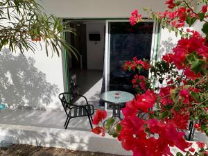 d'une terrasse avec une table et des fleurs rouges. dans l'établissement La dama gris - Fuerteventura Holiday Wi-Fi, à Costa de Antigua