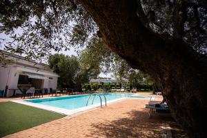 Bazén v ubytování Hotel Eden nebo v jeho okolí