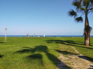 ein Schatten einer Palme auf dem Gras nahe dem Strand in der Unterkunft ACV - Vistamar II - 1ª Linea Planta 7 Norte in Oropesa del Mar