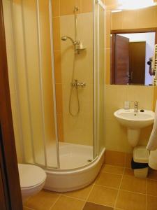 łazienka z prysznicem, toaletą i umywalką w obiekcie Hotel Aleksander w Ustce