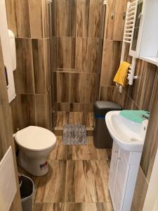 Kúpeľňa v ubytovaní Roland Apartmant Zuglo