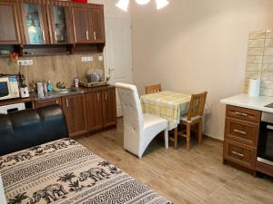 Kuchyňa alebo kuchynka v ubytovaní Roland Apartmant Zuglo