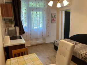 Kuchyňa alebo kuchynka v ubytovaní Roland Apartmant Zuglo