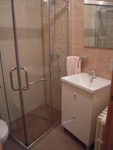 a bathroom with a shower and a sink at Casa Rural Carmina in Berlanga de Duero