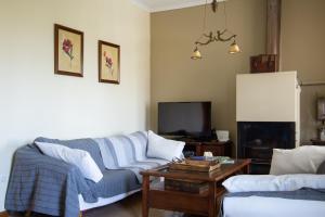 a living room with two couches and a tv at Andros Melissari in Koumárion
