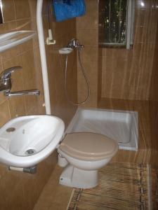 a bathroom with a toilet and a sink and a shower at Apartment at Sea in Lovran