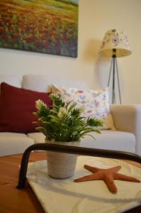 a table with a plant and two starfish on it at Liogerma apartments in Ierissos