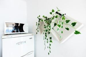 A kitchen or kitchenette at Santa Barbara 27 Canyelles Roses - Immo Barneda
