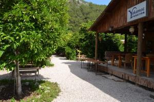 a restaurant with tables and benches in a forest at Olympos Yakamoz Pansiyon in Olympos